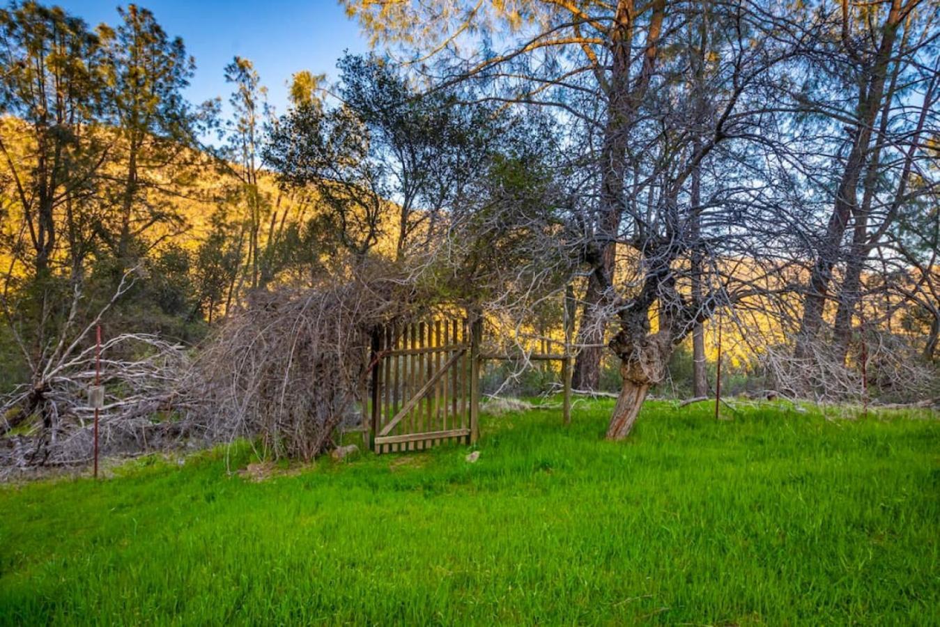Sierra Vista Lookout Lodge With Creek, Waterfall And Waterholes, Minutes From Bass Lake And Yosemite South Gate North Fork Екстериор снимка