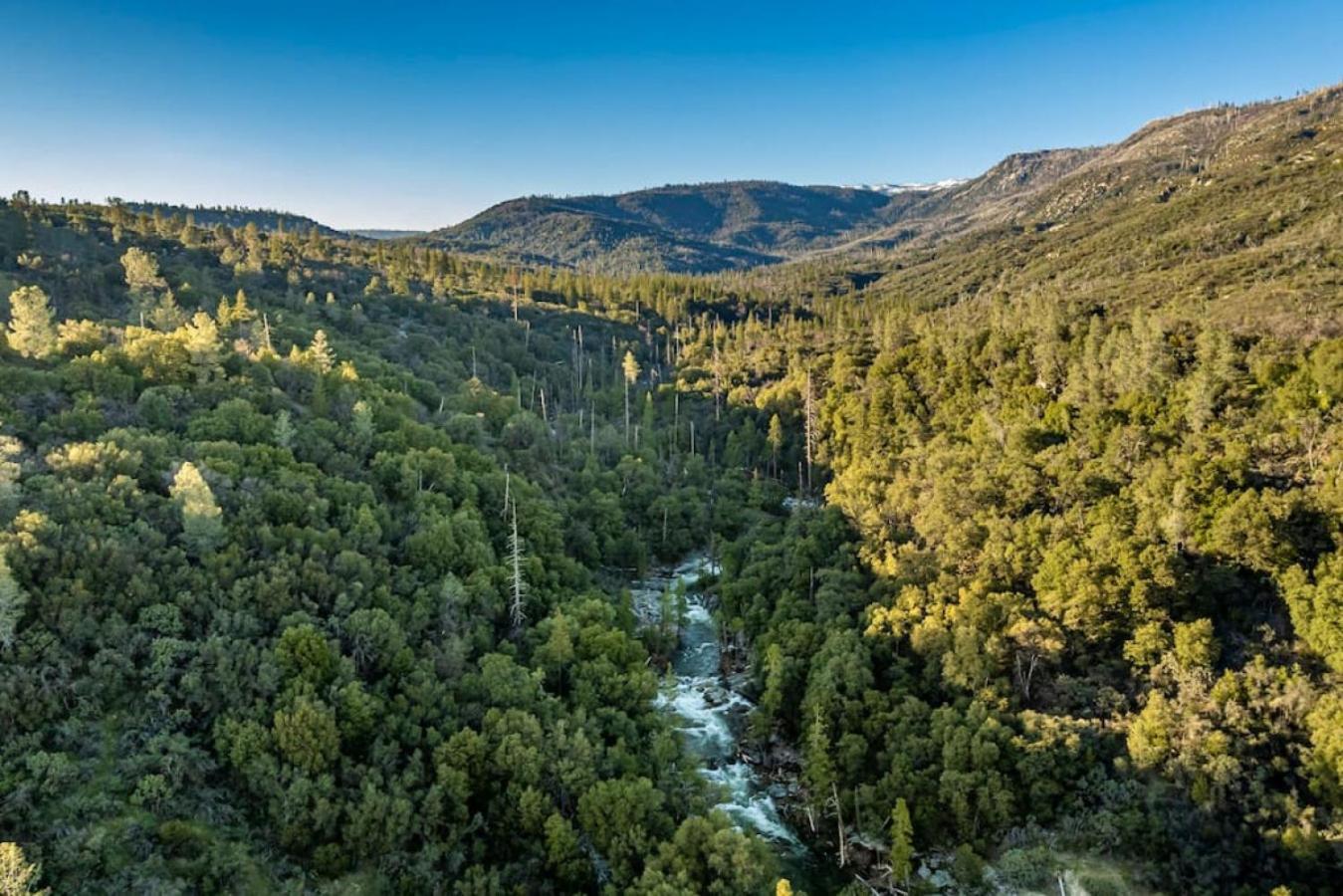 Sierra Vista Lookout Lodge With Creek, Waterfall And Waterholes, Minutes From Bass Lake And Yosemite South Gate North Fork Екстериор снимка